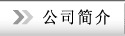 公司简介